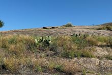 frederick-tx-gal-14.jpg