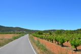 ibiza-skike-03_2014.jpg