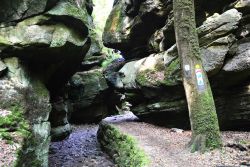 Wie in einer anderen Welt: Die Wege des Mullerthal Trails bei Berdorf